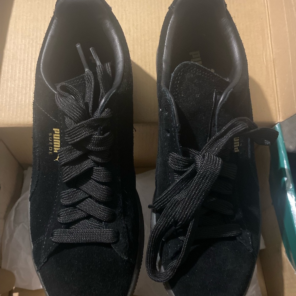 New Pumas
